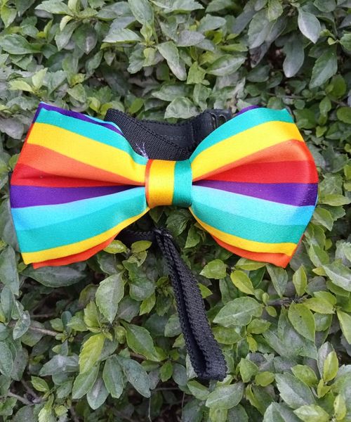 Rainbow Bow-Tie